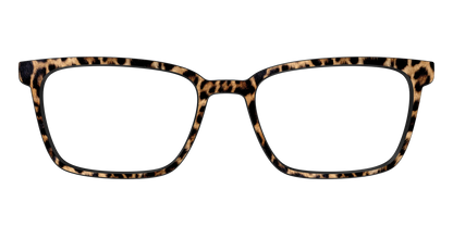 The Cheetah Spots
