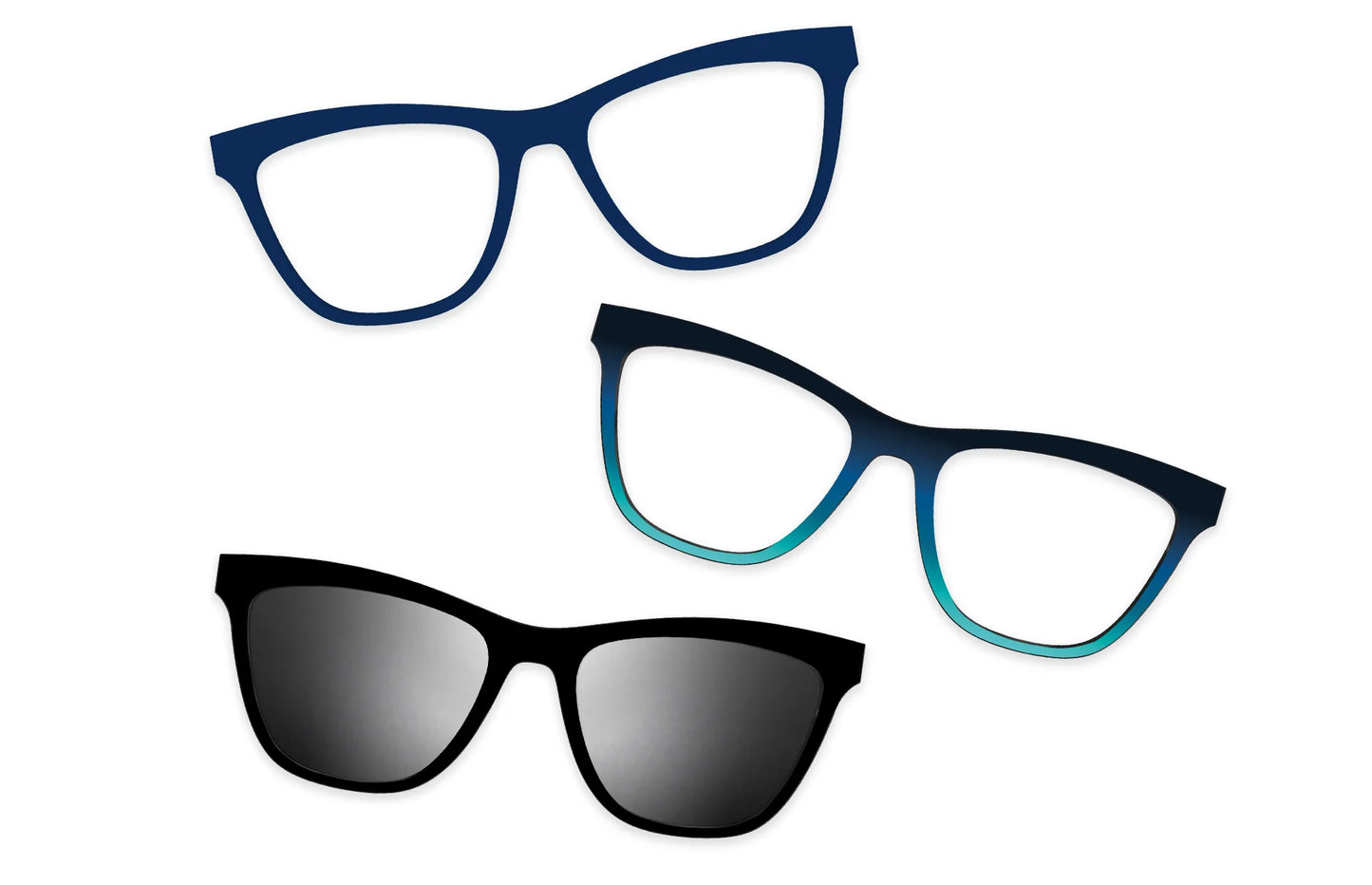 Blue Tortoise - Set