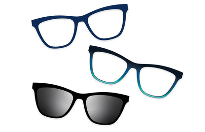 Blue Tortoise - Set