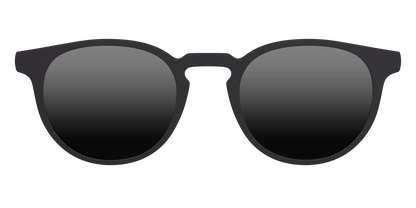 The Polarized Black Sun Top