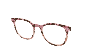The Pale Peach Pearl Tortoise