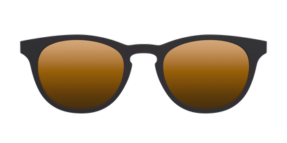The Polarized Gold Reflective Sun Top