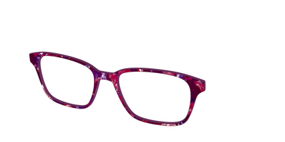 The Mulberry Pearl Tortoise