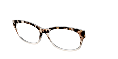 The Vanilla Latte Tortoise