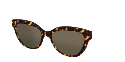 The Non-Polarized Tortoise Sun Top