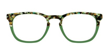 The Forest Tortoise Crystal Split