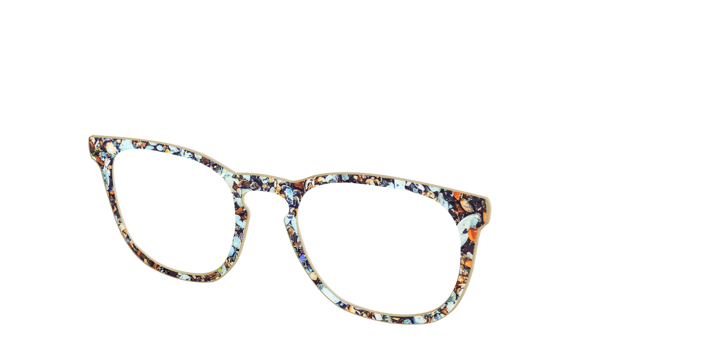 The Seashell Tortoise with Holographic Glitter