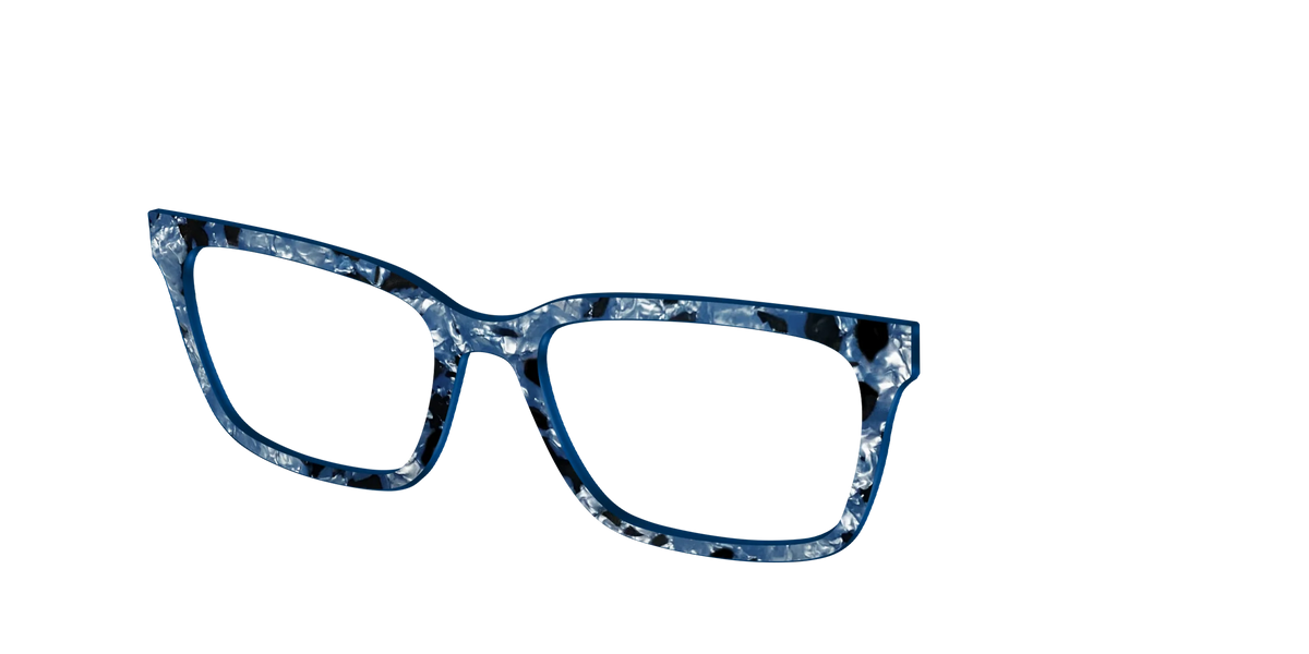The Midnight Blue Pearl Tortoise