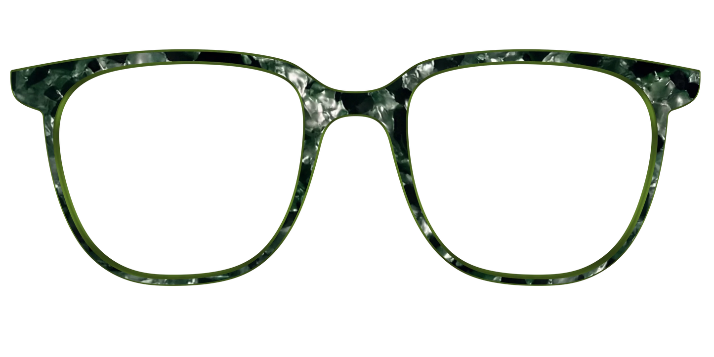 The Olive Pearl Tortoise