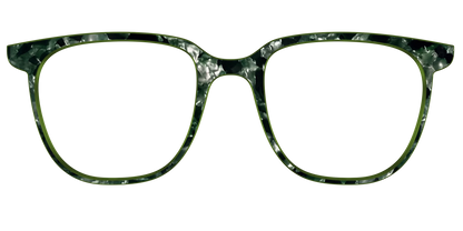 The Olive Pearl Tortoise