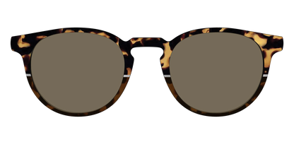 The Polarized Chic Tortoise Split Sun Top