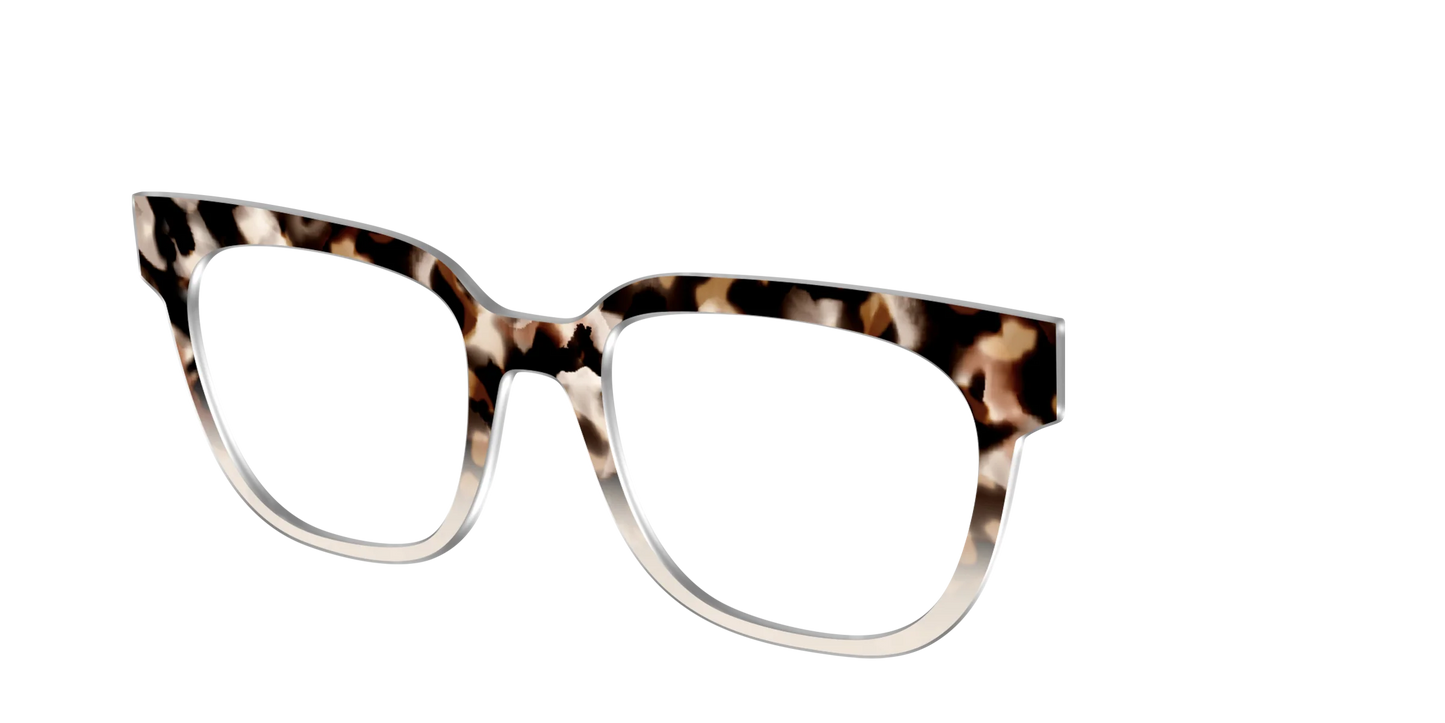 The Vanilla Latte Tortoise