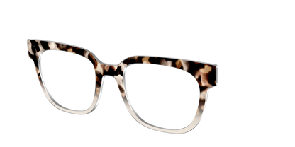 The Vanilla Latte Tortoise