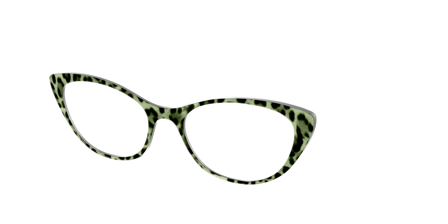 The Lucky Leopard
