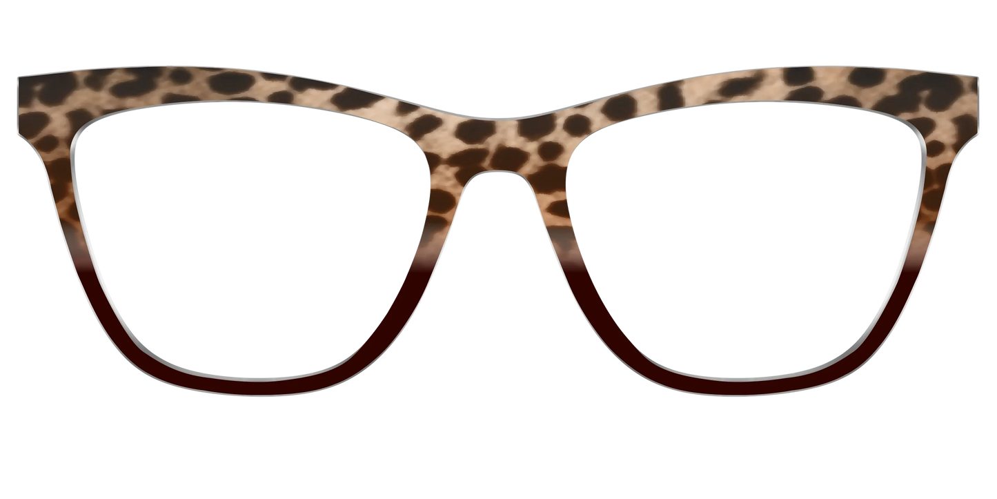 The Jungle Cat Tortoise