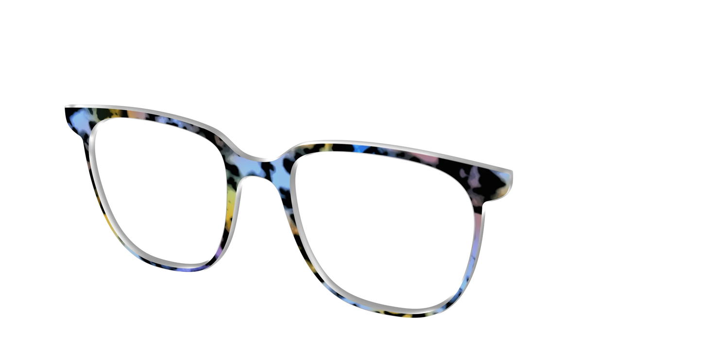 The Positano Tortoise