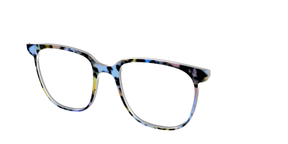 The Positano Tortoise