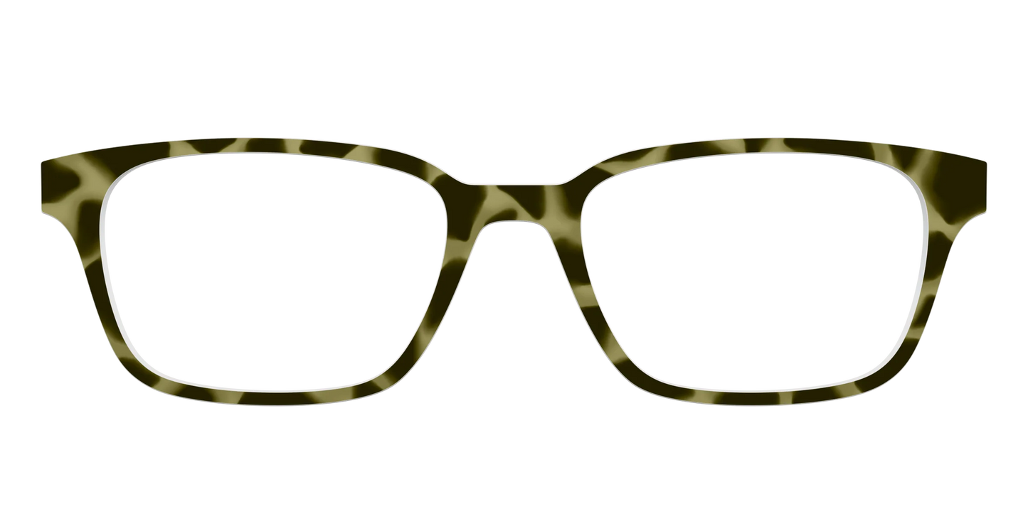 The Olive Tortoise