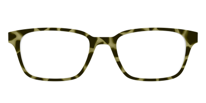 The Olive Tortoise