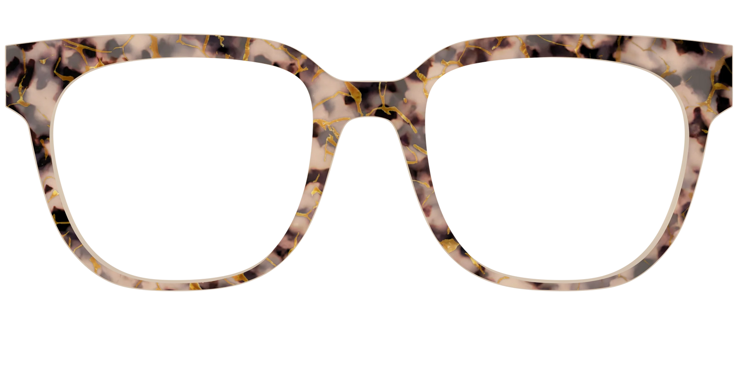 The Almond Tortoise with Gold Streaks