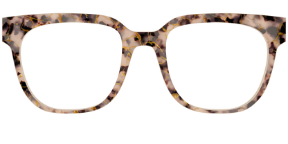 The Almond Tortoise with Gold Streaks
