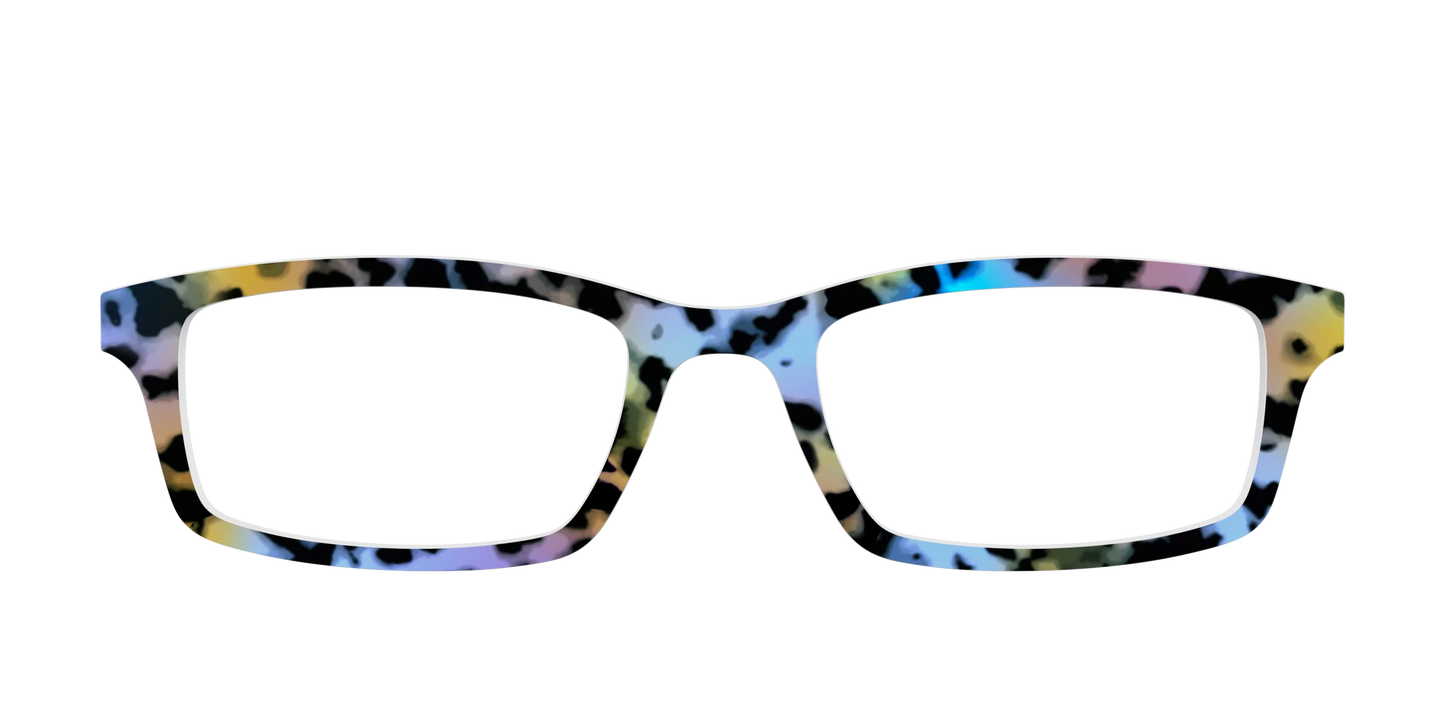 The Positano Tortoise