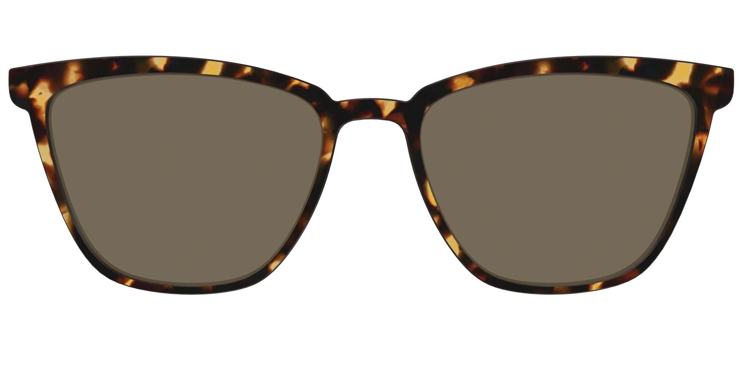 The Polarized Tortoise Sun Top
