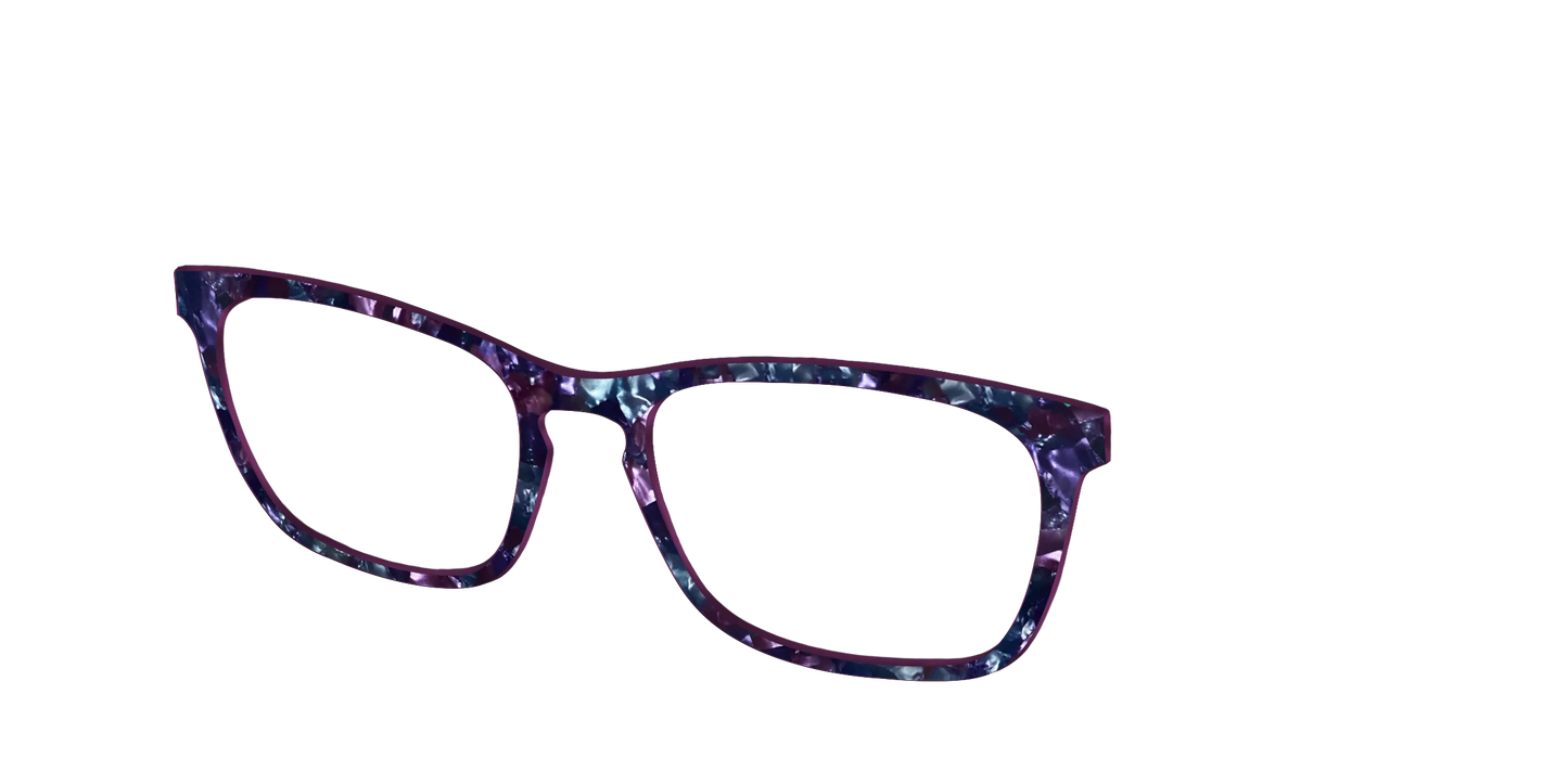 The Black Opal Pearl Tortoise