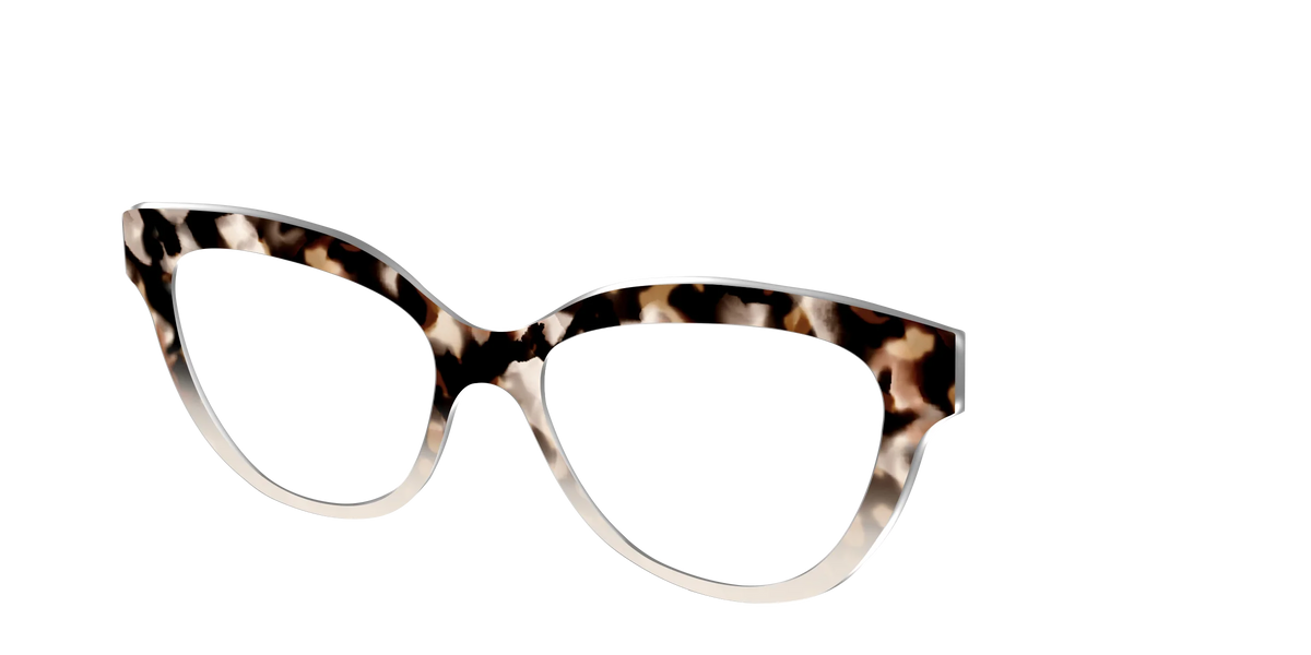 The Vanilla Latte Tortoise