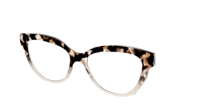 The Vanilla Latte Tortoise