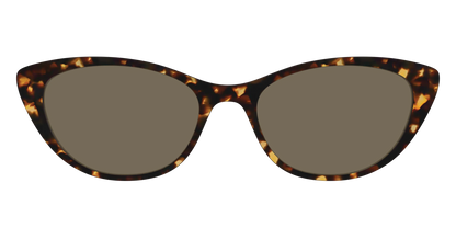 The Non-Polarized Tortoise Sun Top