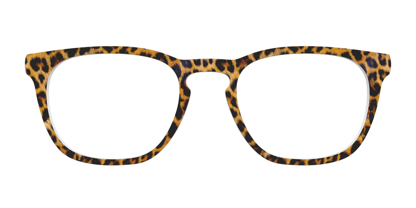 The Cheetah Spots