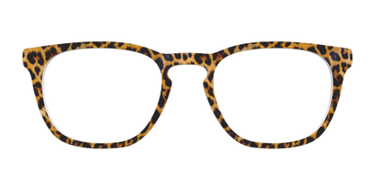 The Cheetah Spots