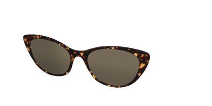 The Non-Polarized Tortoise Sun Top