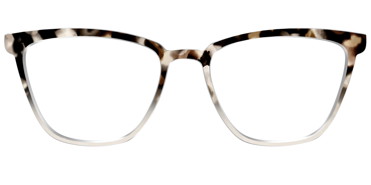 The Vanilla Latte Tortoise
