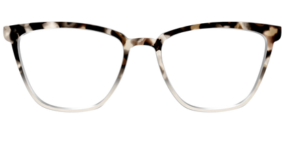 The Vanilla Latte Tortoise