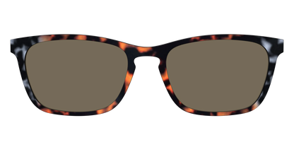 The Polarized Gray & Amber Tortoise Sun Top
