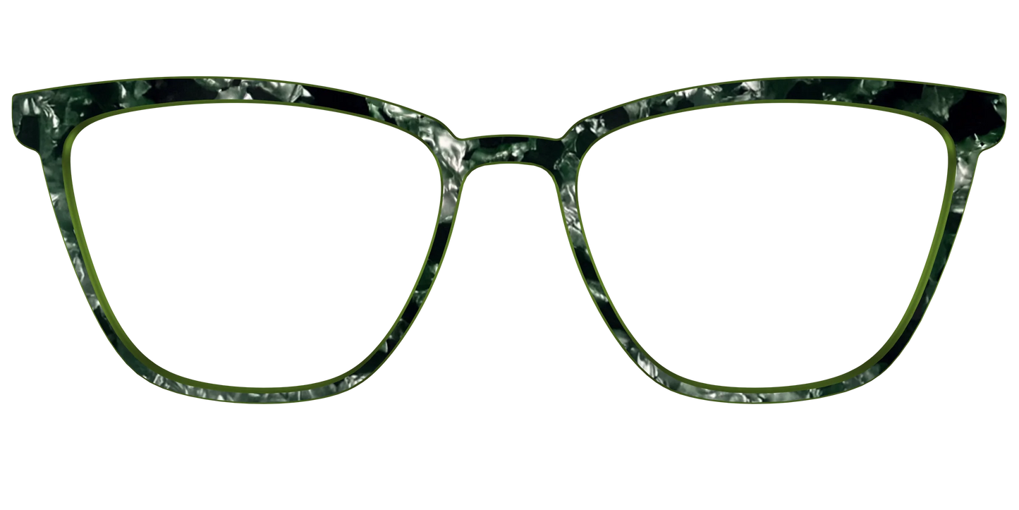 The Olive Pearl Tortoise