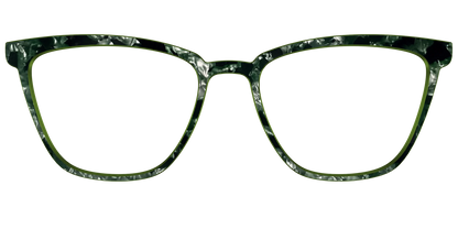 The Olive Pearl Tortoise