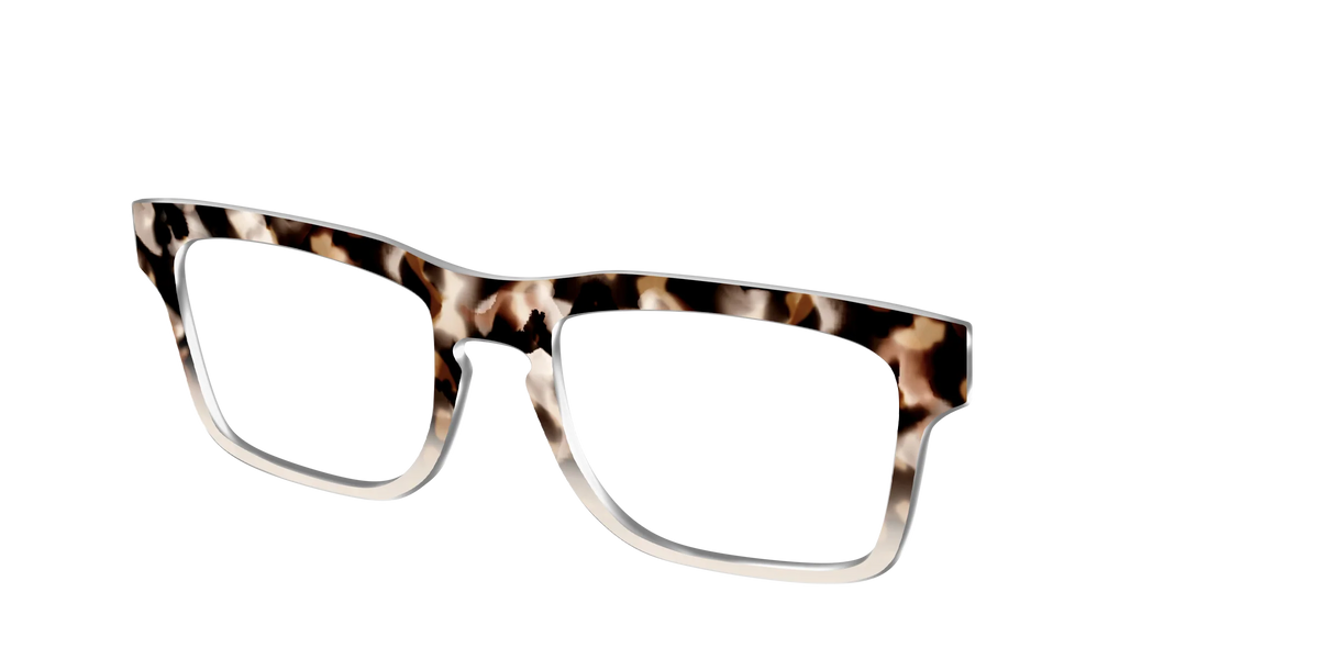 The Vanilla Latte Tortoise