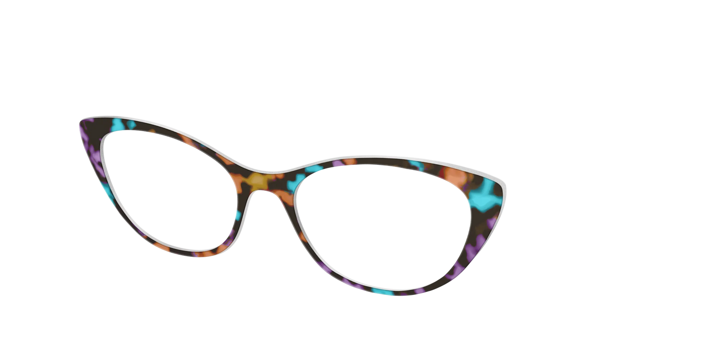 The Summer Tortoise