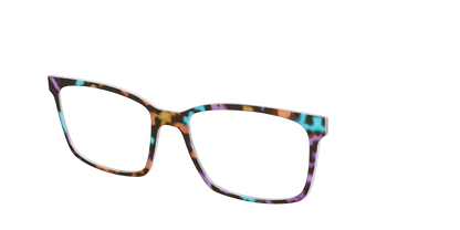 The Summer Tortoise