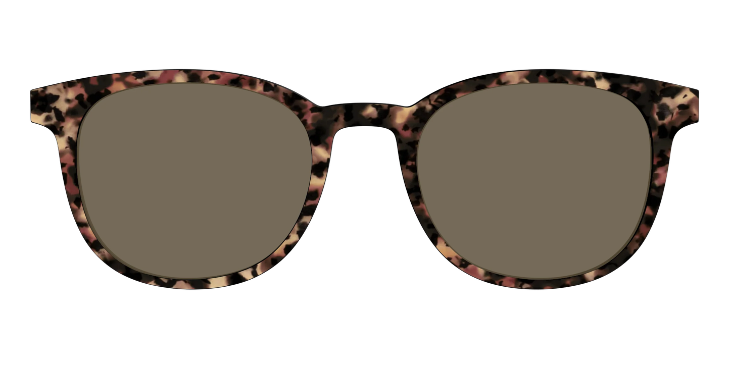 The Polarized Sienna Tortoise Sun Top