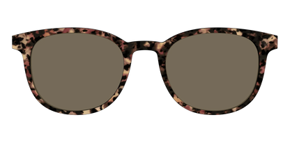 The Polarized Sienna Tortoise Sun Top