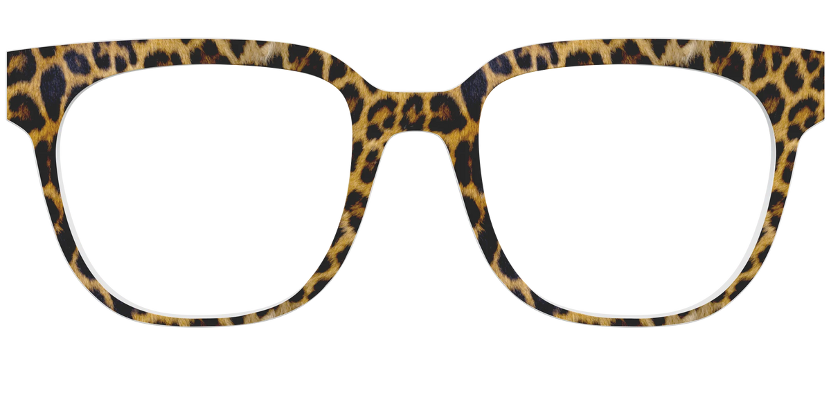 The Cheetah Spots