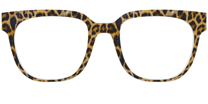 The Cheetah Spots