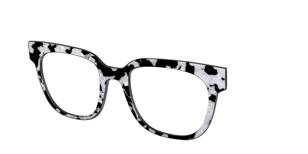 The Black & White Pearl Tortoise