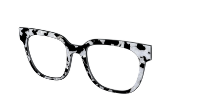 The Black & White Pearl Tortoise