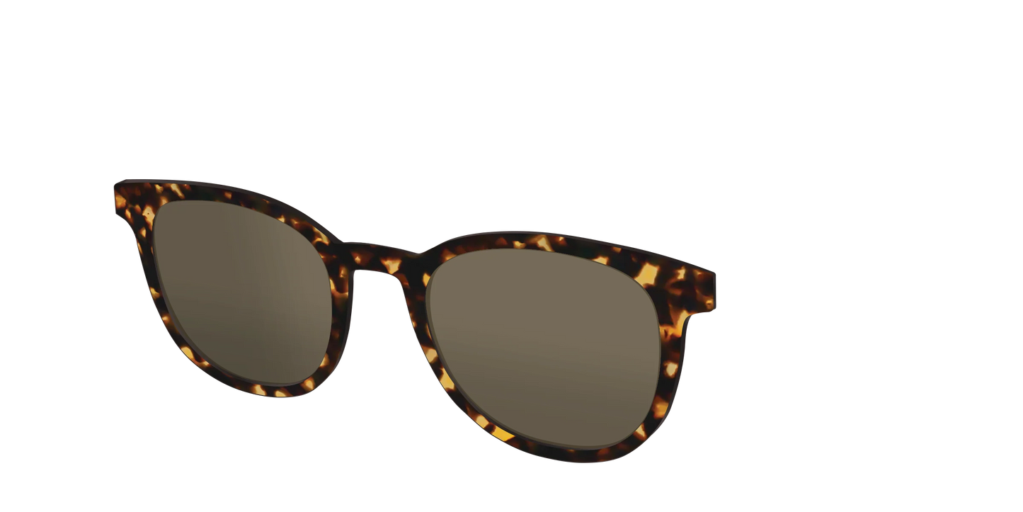 The Non-Polarized Tortoise Sun Top