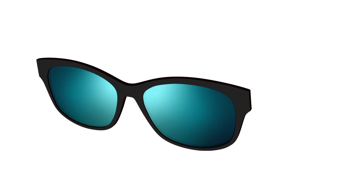The Polarized Blue Reflective Sun Top